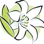 Fancy Easter Lily Clipart easter lily graphics clipart best